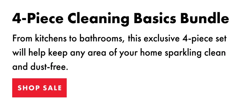4 Piece Cleaning Bundle