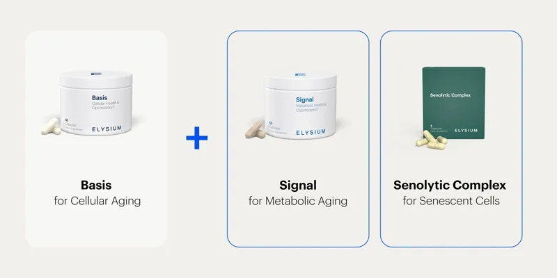 Basis for Cellular Aging + Mosaic for Skin Aging | Confactor | Collagen and NAD+