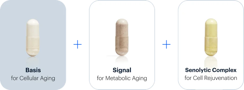 Basis for Cellular Aging + Signal for Metabolic Agingn | Senolytic Complex for Cell Rejuvenation