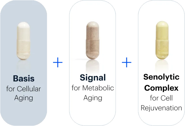 Basis for Cellular Aging + Signal for Metabolic Agingn | Senolytic Complex for Cell Rejuvenation