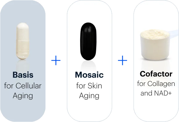Basis for Cellular Aging + Mosaic for Skin Aging | Cofactor for Collagen and NAD+