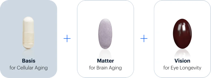 Basis for Cellular Aging + Matter for Brain Aging + Vision for Eye Longetivity