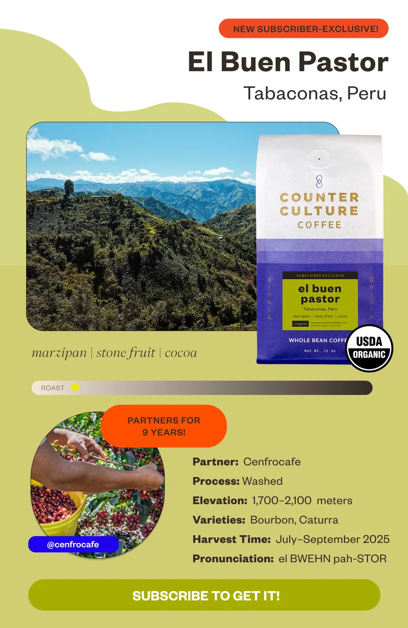 New subscriber exclusive! El Buen Pastor Tabaconas, Peru marizpan stone fruit cocoa Partners for 9 years!Process: Washed Elevation: 1,700–2,100 meters  Varieties: Bourbon, Caturra Harvest Time: July–Sept 2025 CTA Subscribe to get it!