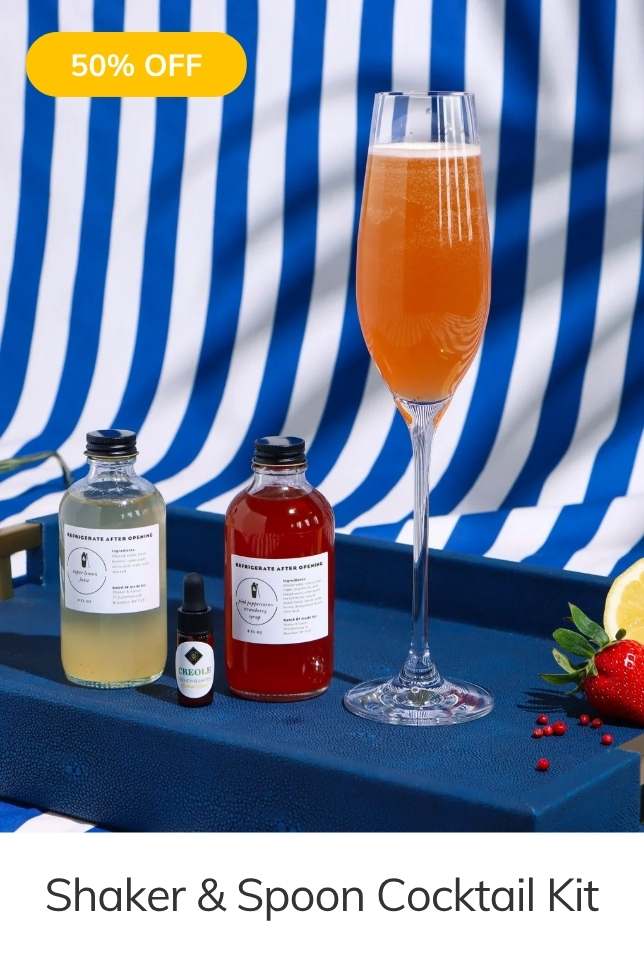 Shaker & Spoon Cocktail Kit