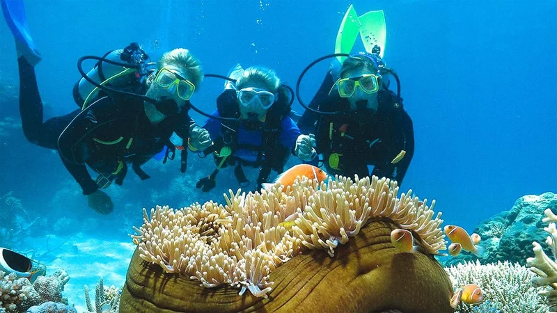 Image description: Scuba divers with Quicksilver Cruises.