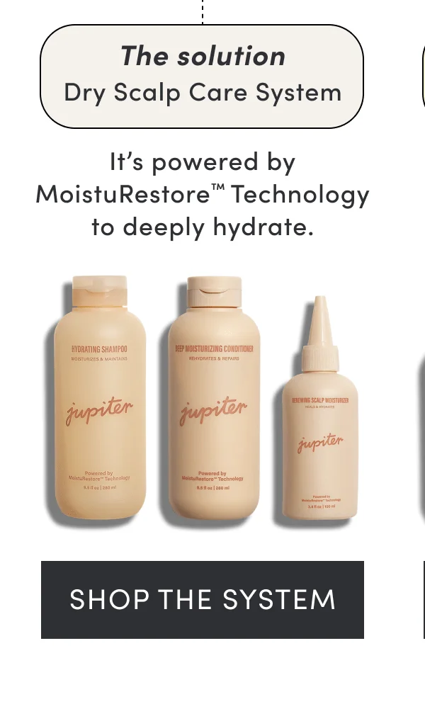 The solution | Dry Scalp Care System | It’s powered by MoistuRestore™ Technology to deeply hydrate. | Shop the system
