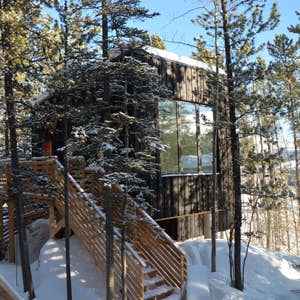 Black Spruce Cabin in woodland