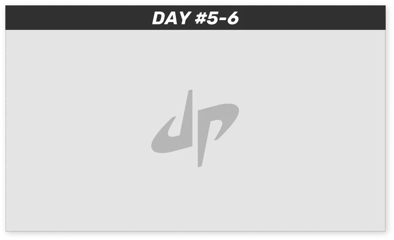 DAY 5-6: ???