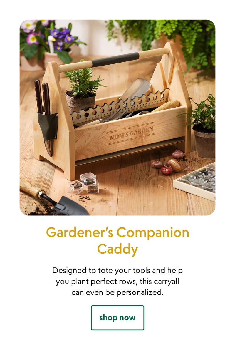 gardeners-companion-caddy