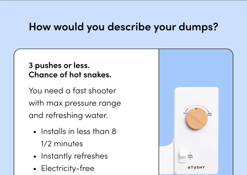 HOW WOULD YOU DESCRIBE YOUR DUMPS