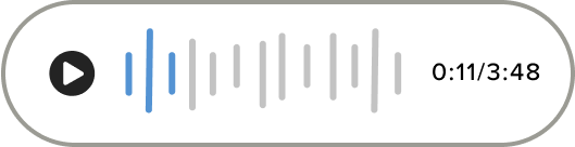 Visualization of the audio message. 3:48 minute listen time