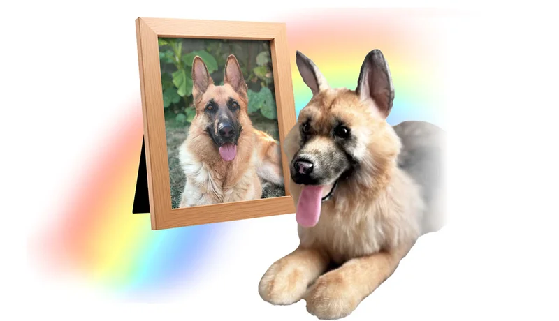 Lifelike Pet Replica