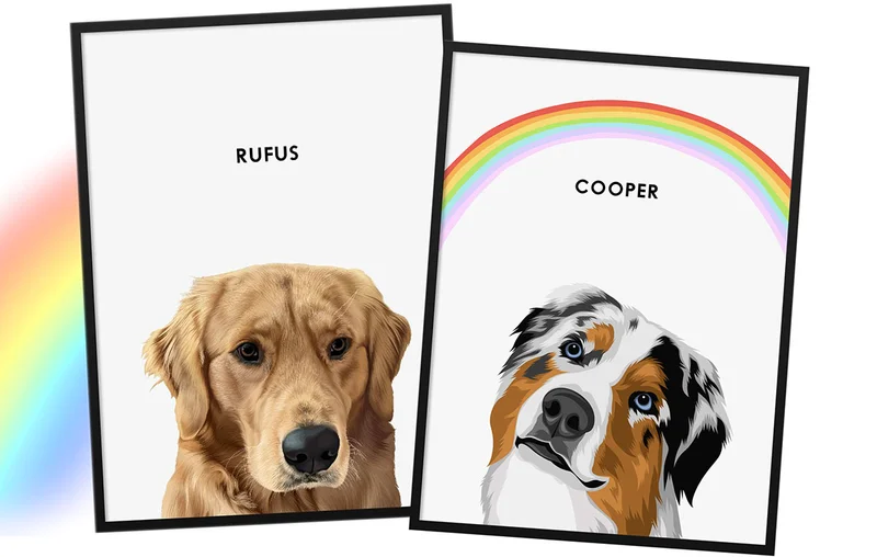 Modern Pet Portraits
