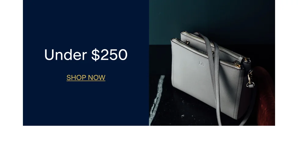 Gifts Under $250