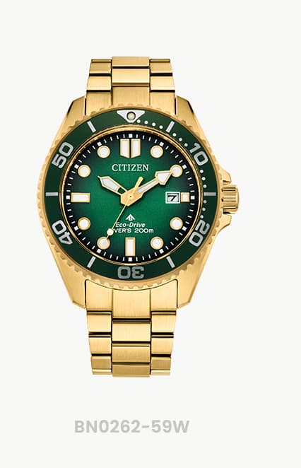 Promaster Dive - BN0262-59W