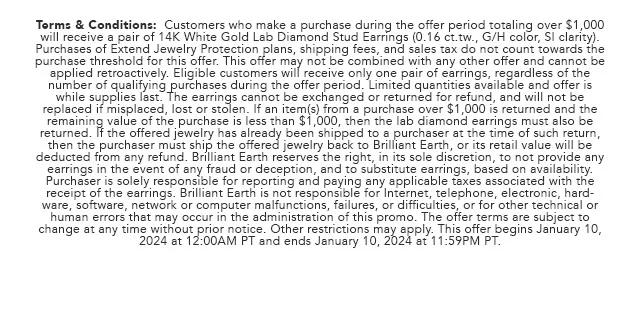 Promo Terms