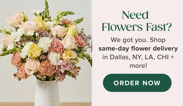 Same Day - Shop Now