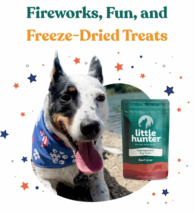 Fireworks, Fun, and Freeze-Dried Treats