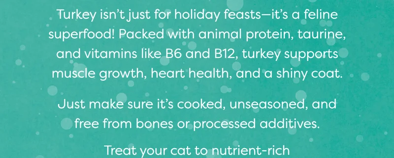 Turkey is a feline superfood