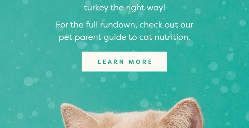 Learn more