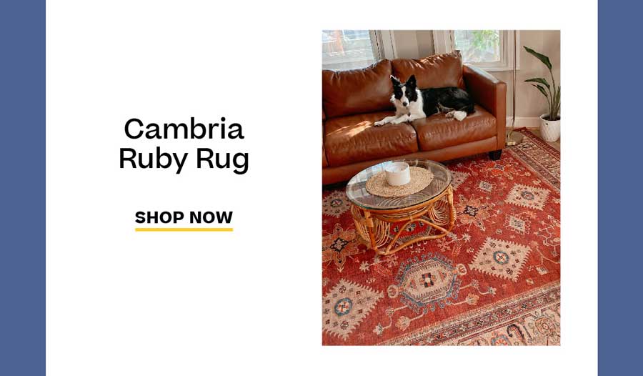 Cambria Ruby Rug: Shop Now