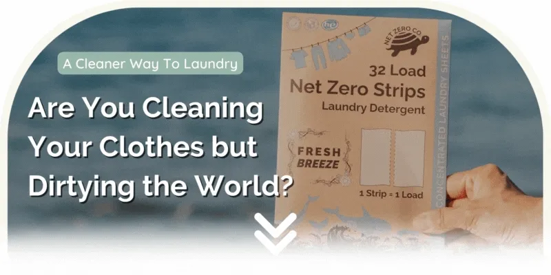 Eco-Collective Company