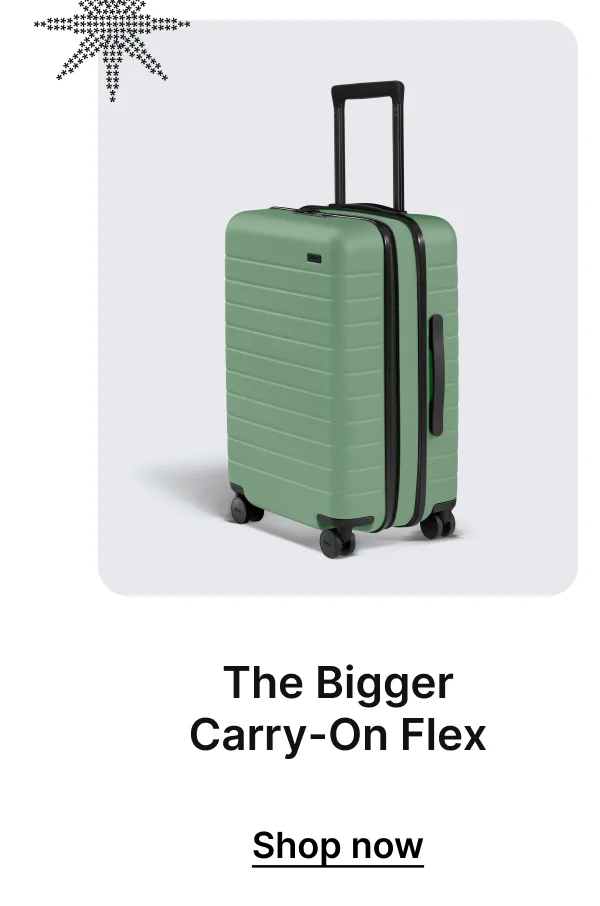 The Bigger Carry-On Flex