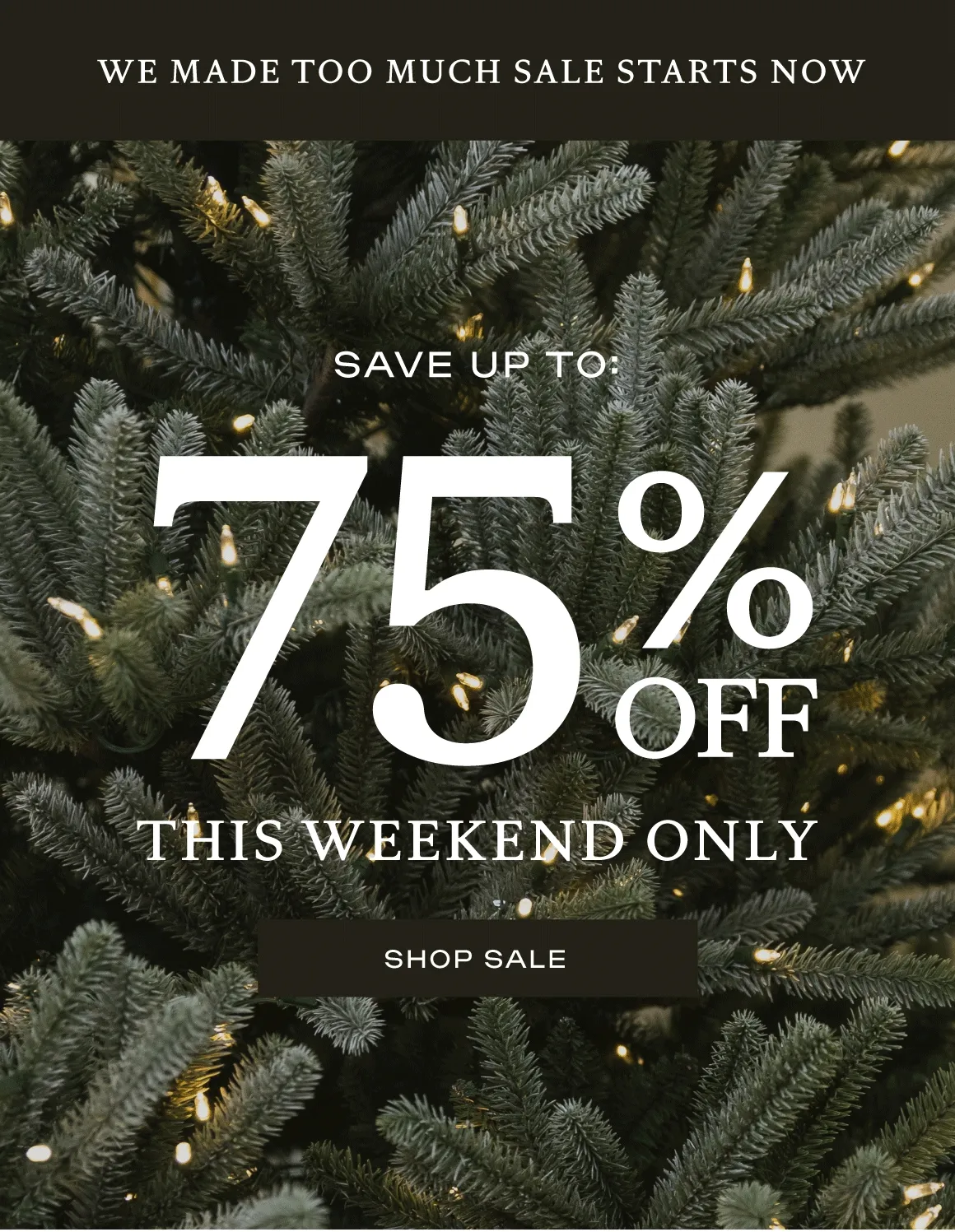 We Made Too Much - Up To 75% Off THIS WEEKEND ONLY! - SHOP SALE