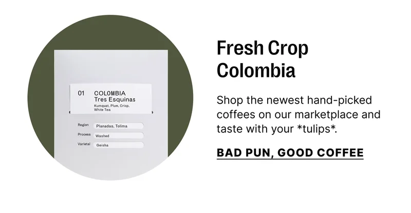 Fresh Crop Colombia Coffees