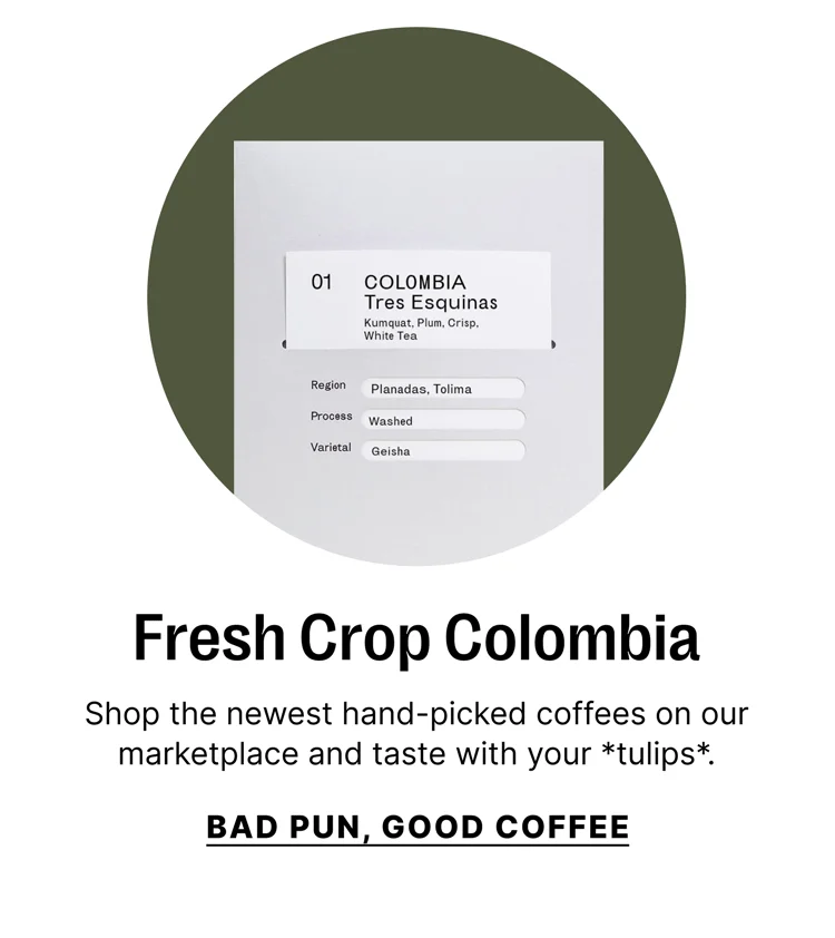 Fresh Crop Colombia Coffees