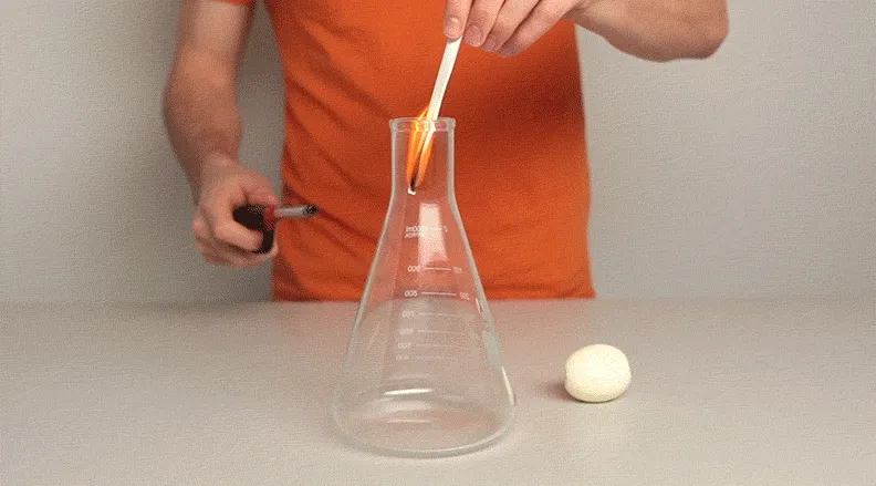 Egg in a Bottle – A GIF of a person using heat to create suction, pulling a peeled egg into a glass bottle.
