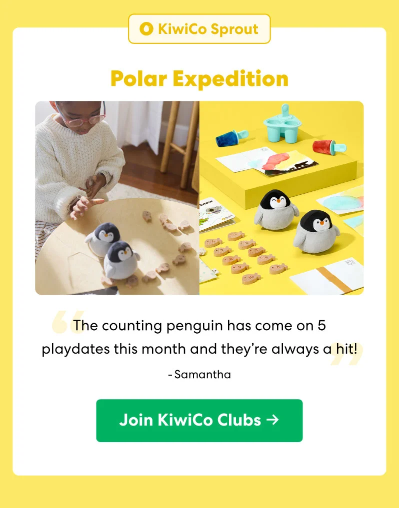 Polar Expedition