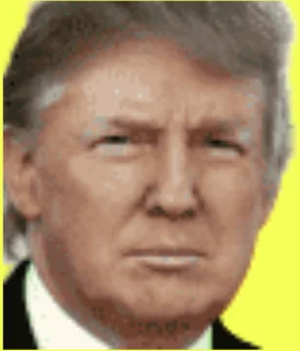 Donald J. Trump Signature Headshot