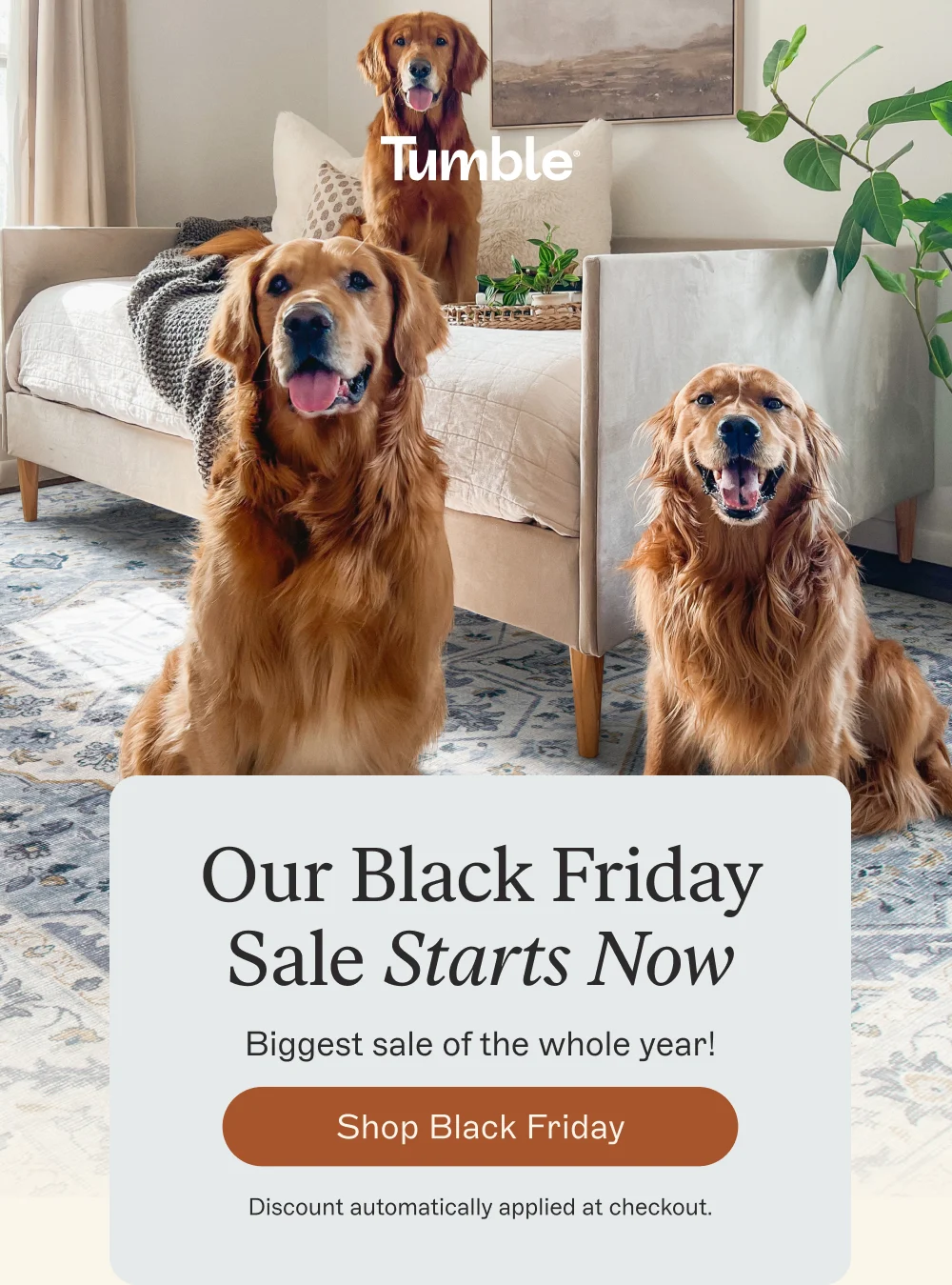 Our Black Friday Sale Starts Now [Shop Black Friday]