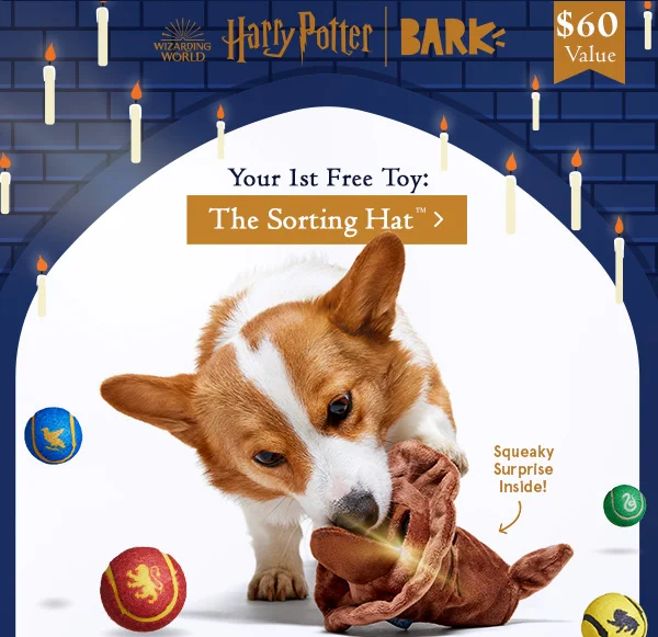 Good Dog Deal: Free Toy In Every Box