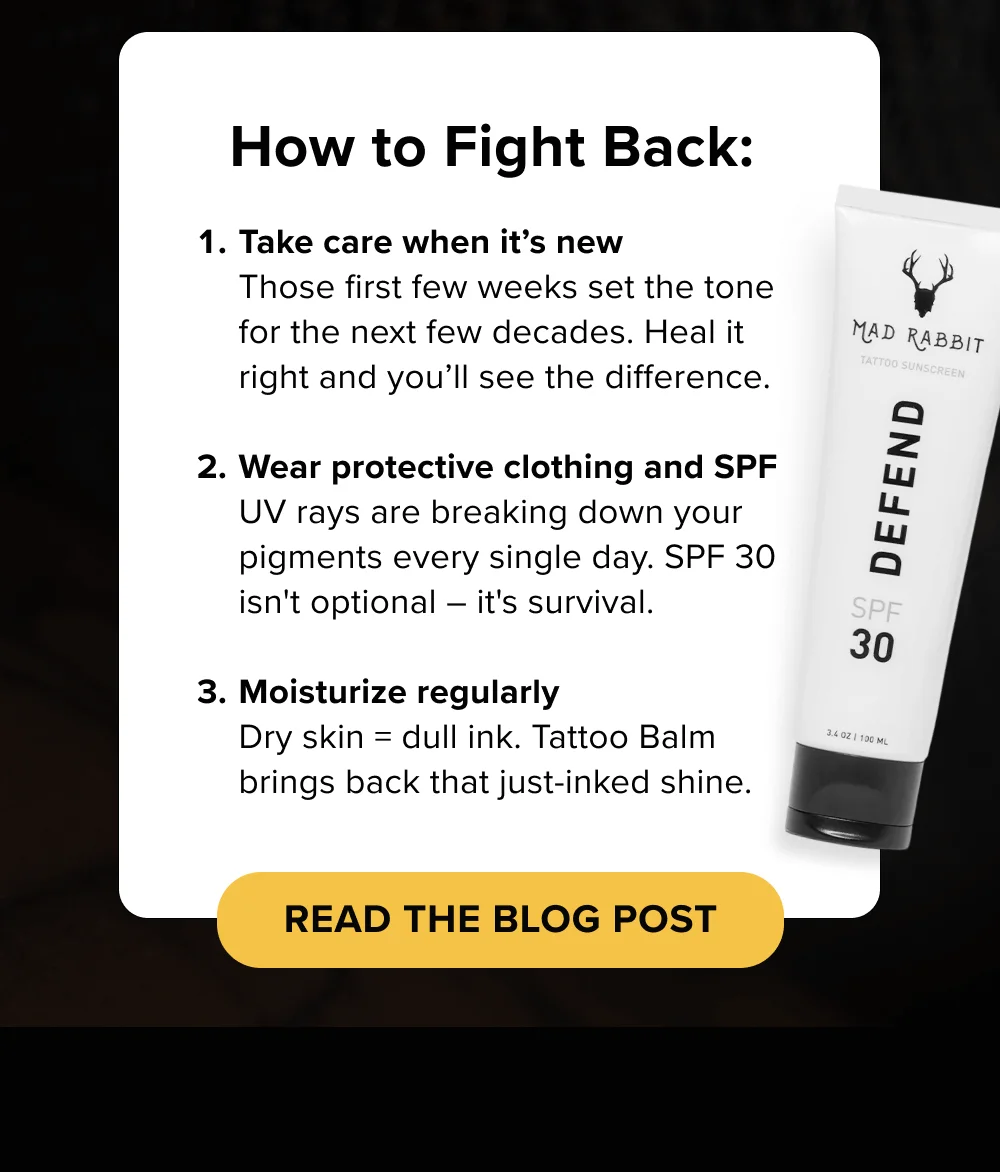 [ READ THE BLOG POST ]