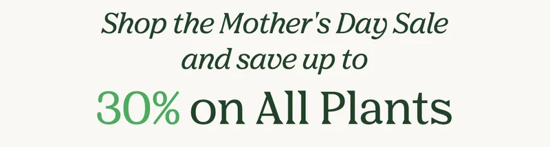 Save up to 30% on all plants!