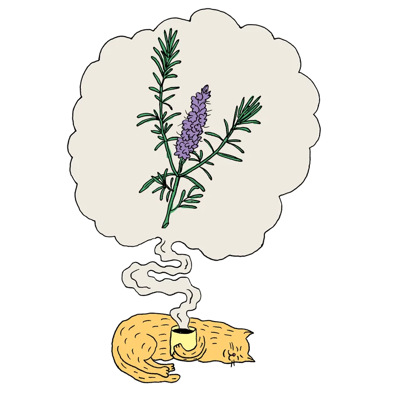 A cat dreaming about a lavender plant