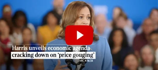 Screenshot from Kamala Harris' ad called Everyday
