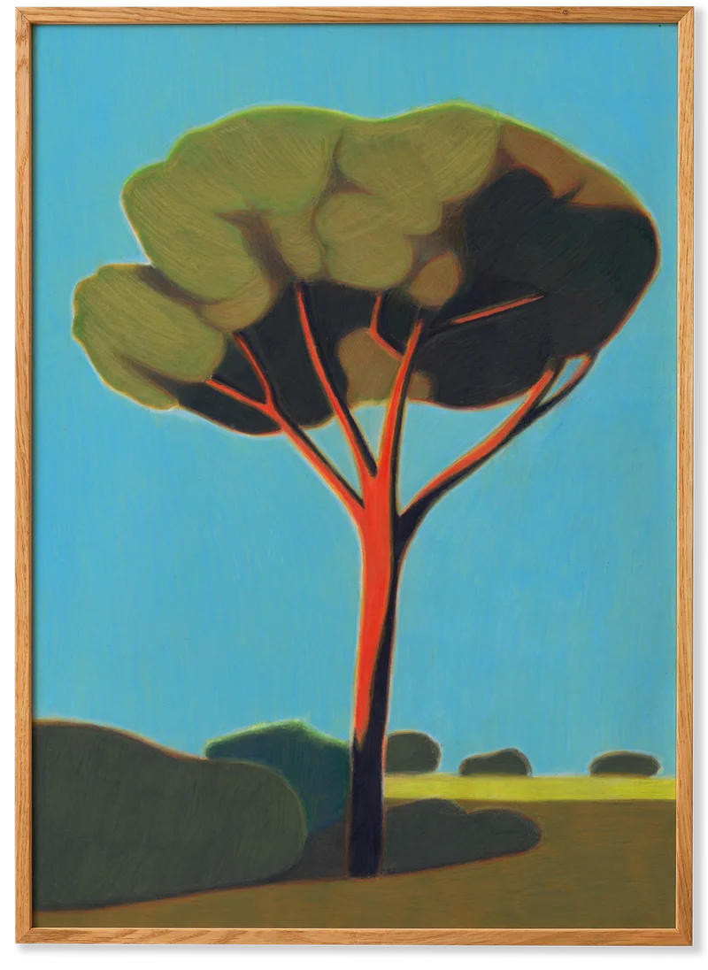 Pinetree in Toscana