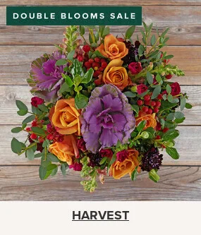 Double Your Blooms For Free