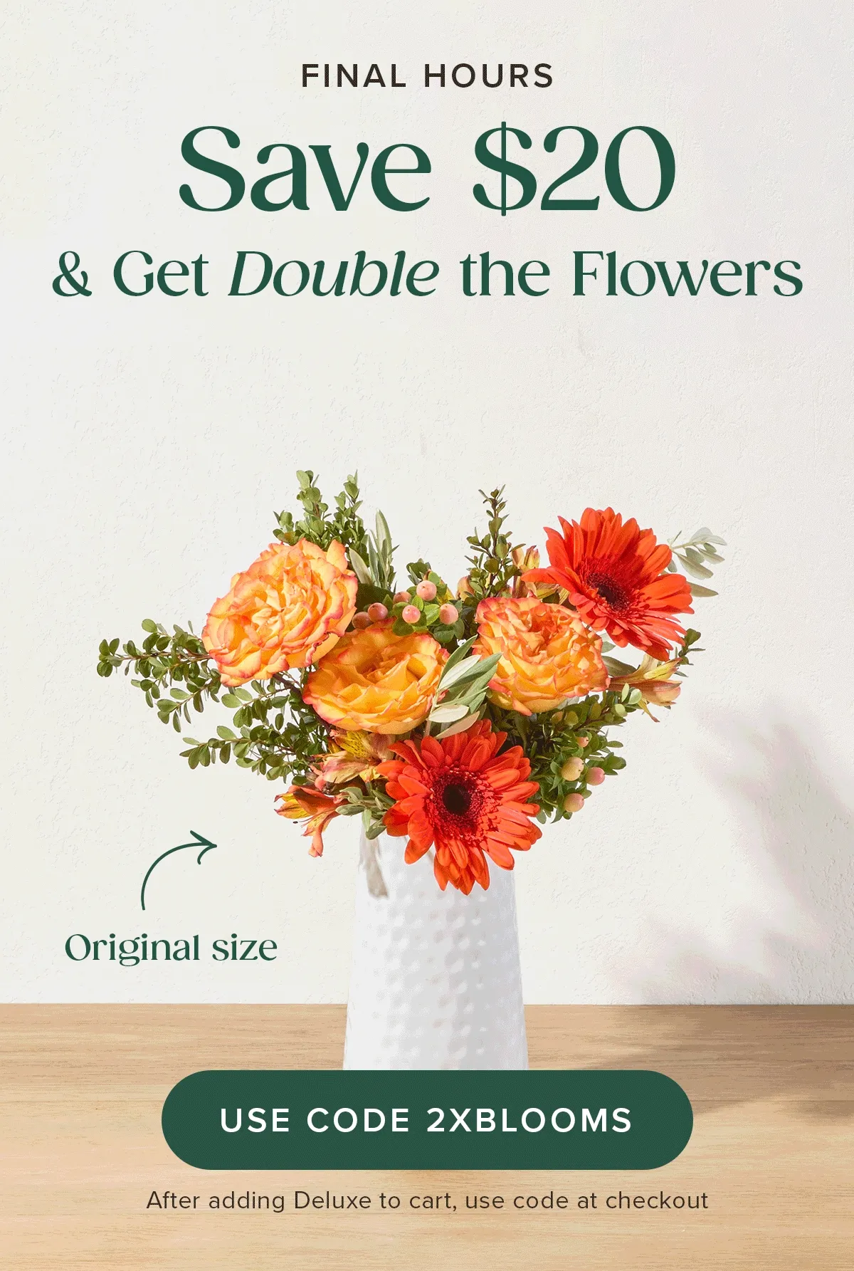 Final Hours! Save $20 & Get Double the Flowers. Go from an original size to a deluxe size. Add deluxe sized Bouq to your cart and use code 2XBLOOMS.