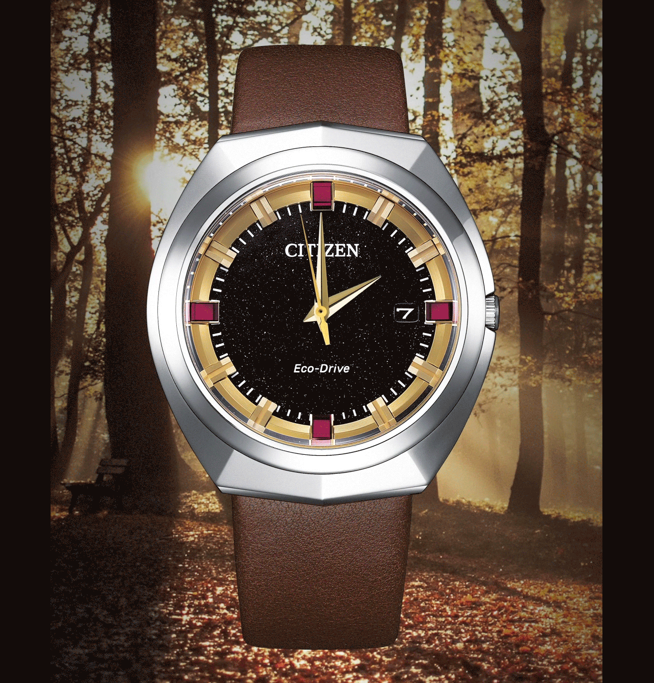 Close up of Eco-Drive 365 - BN1010-05E