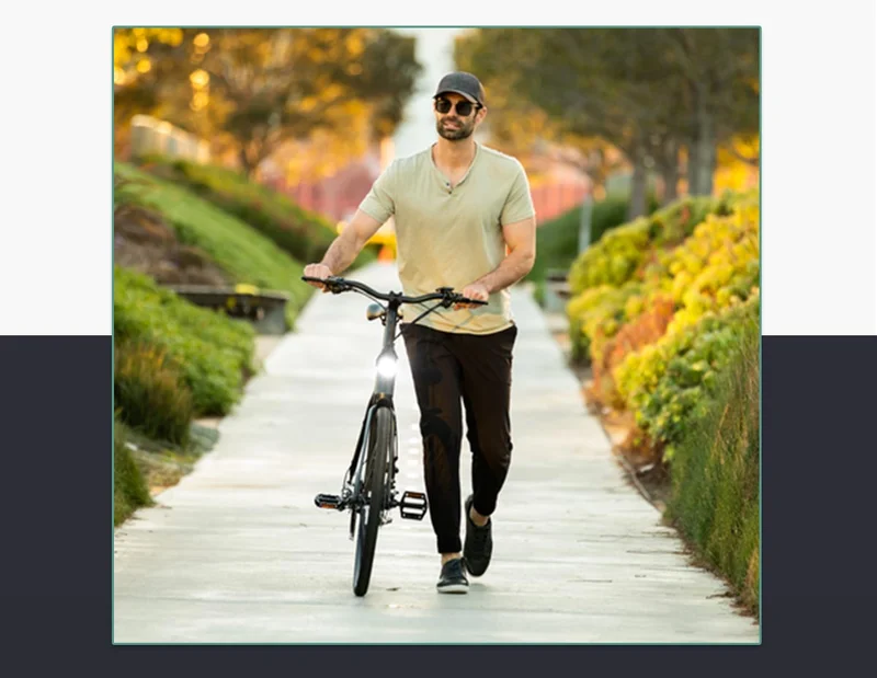 WINGBIKE