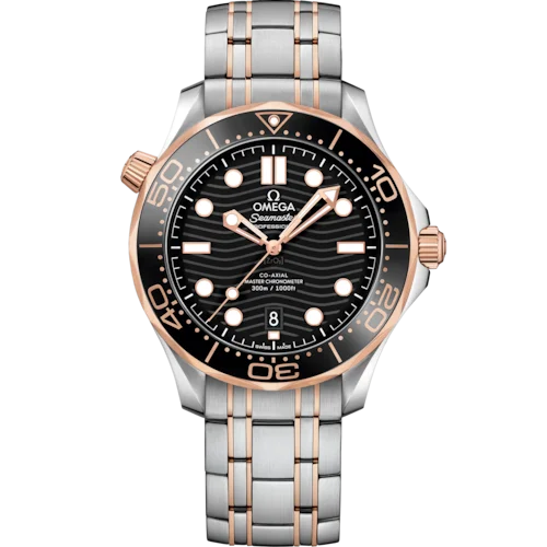 21020422001001 watch