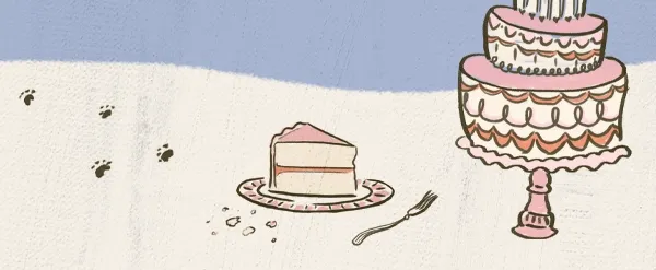Cake illustration