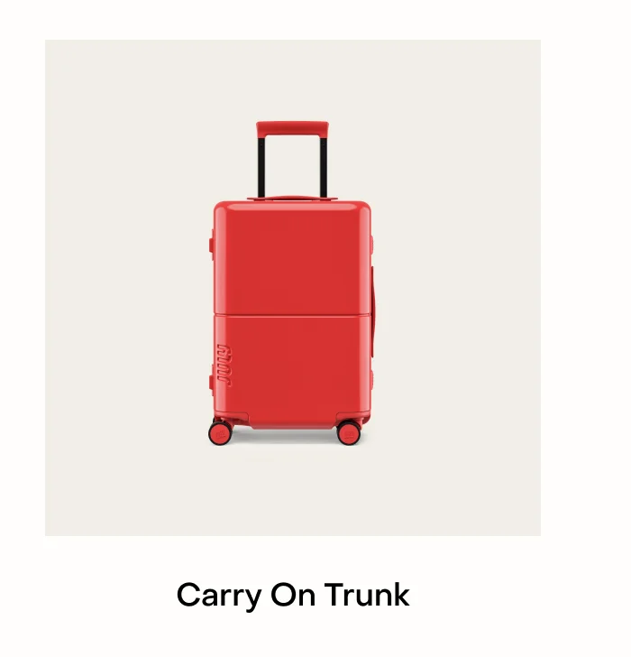 Carry On Trunk