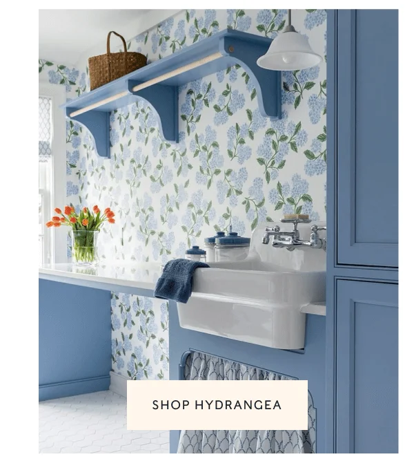 SHOP HYDRANGEA