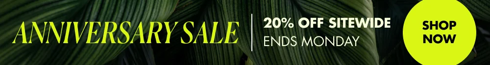 Anniversary Sale | 20% off Sitewide | Ends Monday