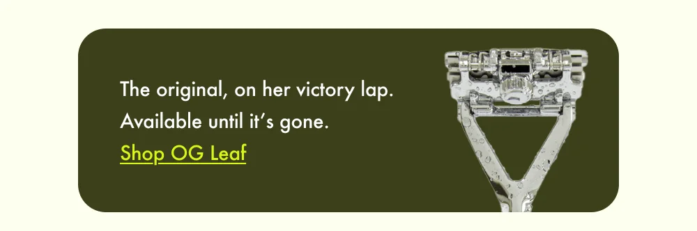 The Original Leaf Razor - taking her victory lap.